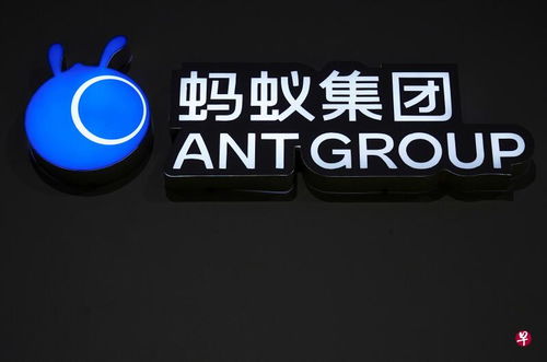 熱鍋上的螞蟻 赫茲科技與商業信息云的機遇與挑戰